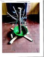 Árboles de Navidad Plantación las Rocas