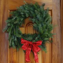 Árboles de Navidad Plantación las Rocas